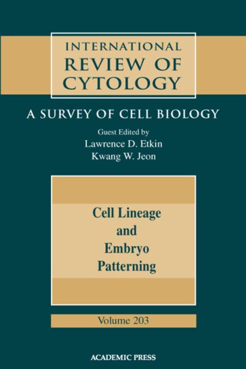Cell Lineage and Embryo Patterning