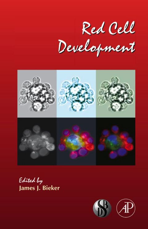 Red Cell Development: Current Topics in Developmental Biology