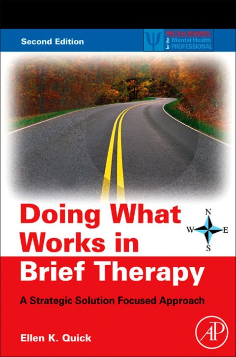 Doing What Works in Brief Therapy: A Strategic Solution Focused Approach