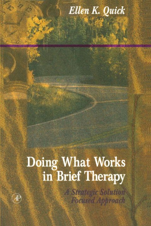 Doing What Works in Brief Therapy: A Strategic Solution Focused Approach