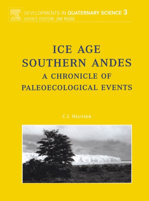 Ice Age Southern Andes: A Chronicle of Palaeoecological Events