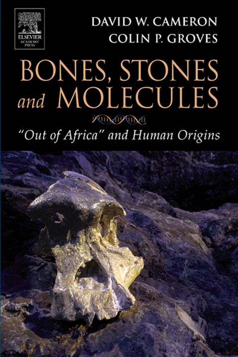 Bones, Stones and Molecules: "Out of Africa" and Human Origins